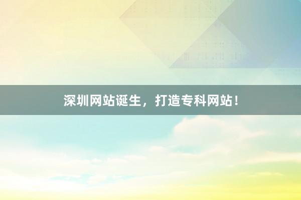 深圳网站诞生，打造专科网站！
