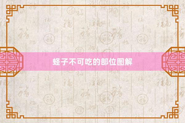 蛏子不可吃的部位图解