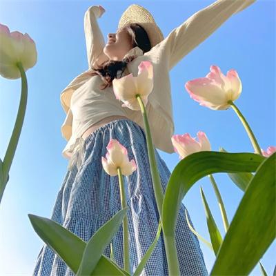 报告老板！第一季